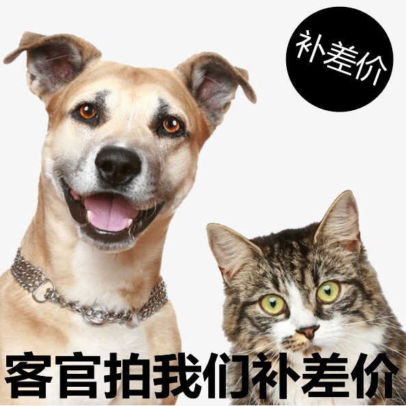 The supplement for the price difference is super-connected 