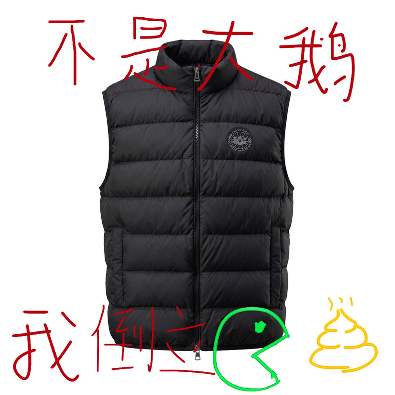 Goose down Vest for Men and Women, Winter 2026 New Style, Thickened and Warm, Outerwear Vest with Inner Lining Goose down Vest for Men and Women, Winter 2026 New Style, Thickened and Warm, Outerwear Vest with Inner Lining