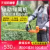 Rechargeable lithium electric hedge trimmer Greening garden tea tree shears Tea shrub tree ball pruning machine pruning machine