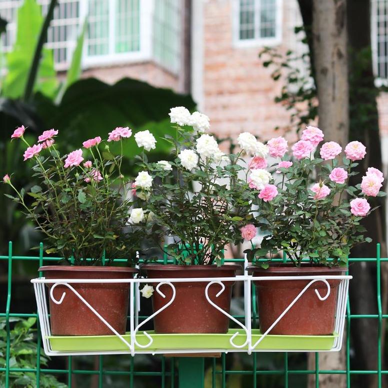 Green Plant External Hanging Multifunction Type Flower Shelf Suspension Wall-mounted Hanging Rack Iron Art Window Edge Balcony Terrace Creativity