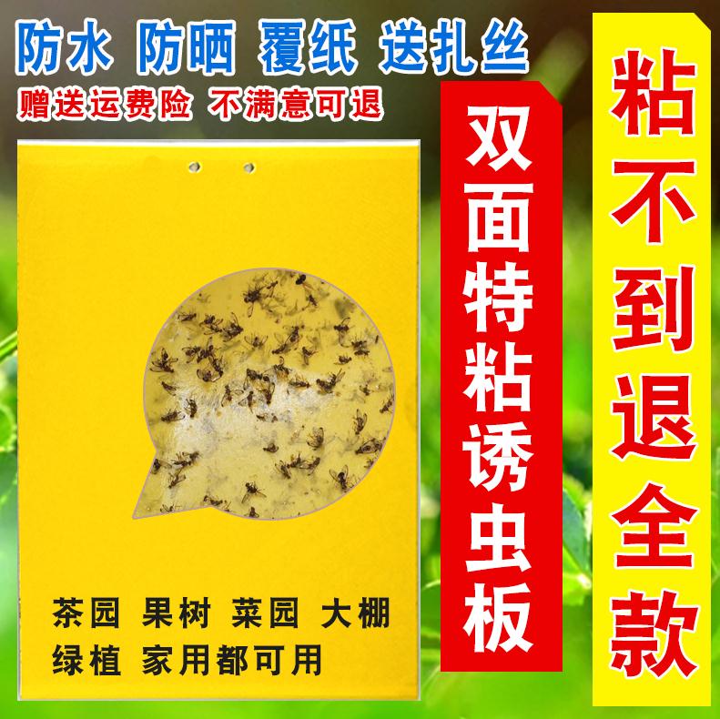 Vegetable field special fishing yellow board sticky outdoor tea paper adhesive board insect board Orchard physical insect insect board fruit tree