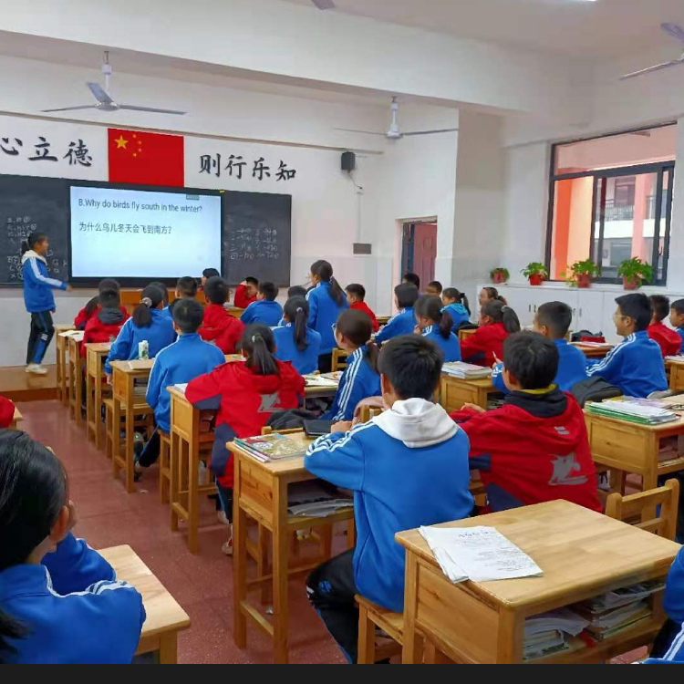 Primary and secondary school students training class old-fashioned primary and secondary school school furniture solid wood study table single desk and chair desk