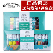  Windsor Newton 12 18 24 color acrylic pigment set Hand-painted wall painting DIY painting Textile pigment
