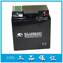 Bay original battery 24AH 12V GST5000 9000 power panel backup guarantee