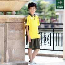 Dongguan Zhangmutou Town Central Primary School Experimental Primary School Uniform School Uniform Short Sleeve Summer School Uniform