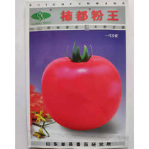 Lufeng Persimmon Powder King American red handsome tomato seed early maturing high yield disease resistance high seedling red powder hard fruit tomato