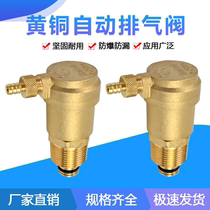 Brass automatic exhaust valve copper exhaust valve heating automatic exhaust valve water separator exhaust valve pipe exhaust valve