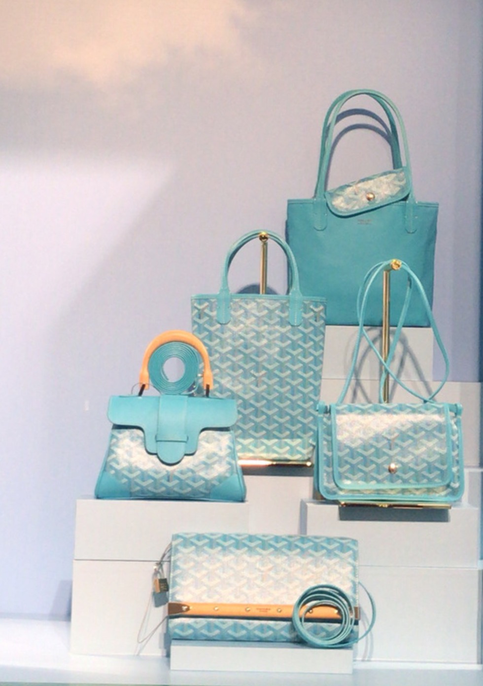 poitiers handbag goyard
