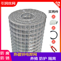 Thick chicken galvanized iron outdoor wire mesh fence grid protective fence steel mesh isolation breeding hot household steel wire mesh