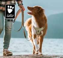(Out-of-print) Hurtta Tu Tu Lotou chest strap Keji Shiba Dog pet vest style out dog strap