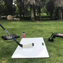Ice Hockey Training Board Ice Hockey Shooting Door Exercises Dial Ball Practice Board Imitation Ice Board Hokey Land Training Special Equipment