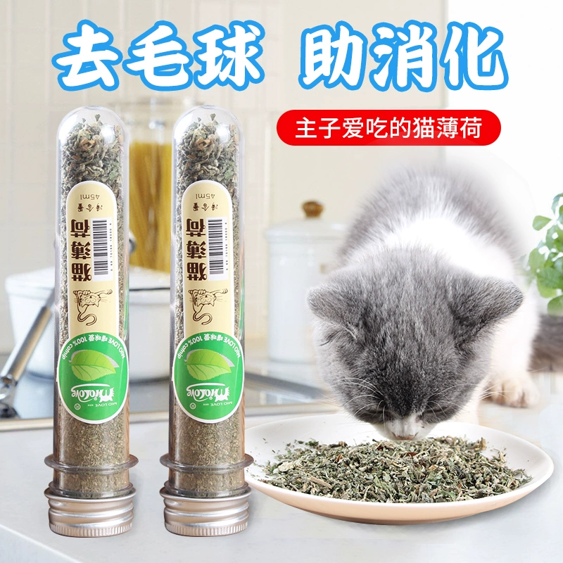 Catnip tự nhiên cỏ bạc hà mèo đồ ăn nhẹ catnip bột catnip lá vật nuôi mèo bóng tẩy lông - Đồ ăn nhẹ cho mèo