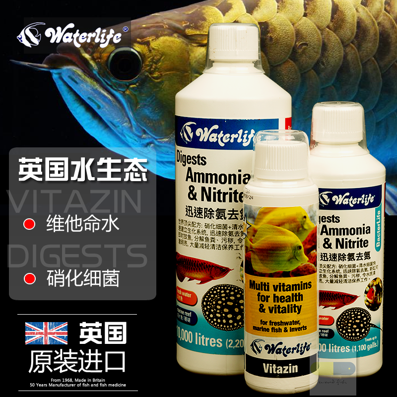 Nitrobacteria UK waterlifilfe Active nitrobacteria purifying water tank to degrade ammonia nitrogen Vitamin water