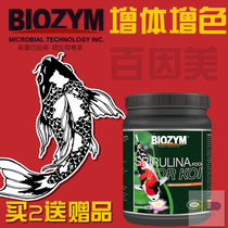 100 Inn-based carp feed spirulina granulite ornamental fish food fish food with no muddy water color increasing body 1kg