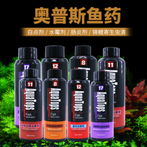 Cats snapper Whitespot Gin Carp Parasite Clear Rohan Fish Enteritis Ventral parrot fish water moldy white hair 