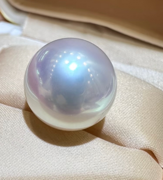 Australian White Seawater Pearl Venus Gemstone Light Pendant Aurora White Silk Satin Light Collector's Grade