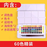 Кисть, поролоновая палитра, 60 цветов, твердый переплет, 2 шт