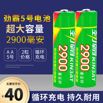 Rimula 2900 mA 5 hao 1 2V Ni-MH high-capacity rechargeable battery KT V microphone microphone camera toys