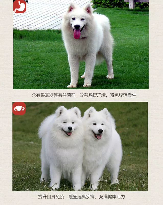 Chó Samoyed thức ăn cho chó đặc biệt 5 pound chó con của tôi chó trưởng thành làm trắng lông canxi sáng để nước mắt thức ăn tự nhiên - Chó Staples