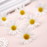 Хороший -маленький маленький ромаш