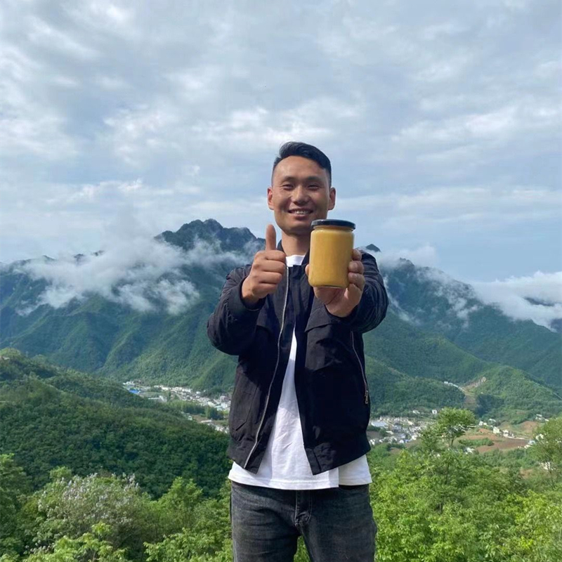 Cut once a year Alpine natural wild Baise honey ShennongShelf origin shipping Net weight 500g