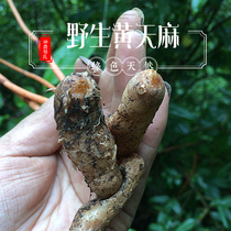 Shennongjia Alpine premium wild Tianma pure natural winter hemp stew soup can be sliced and powdered 250g