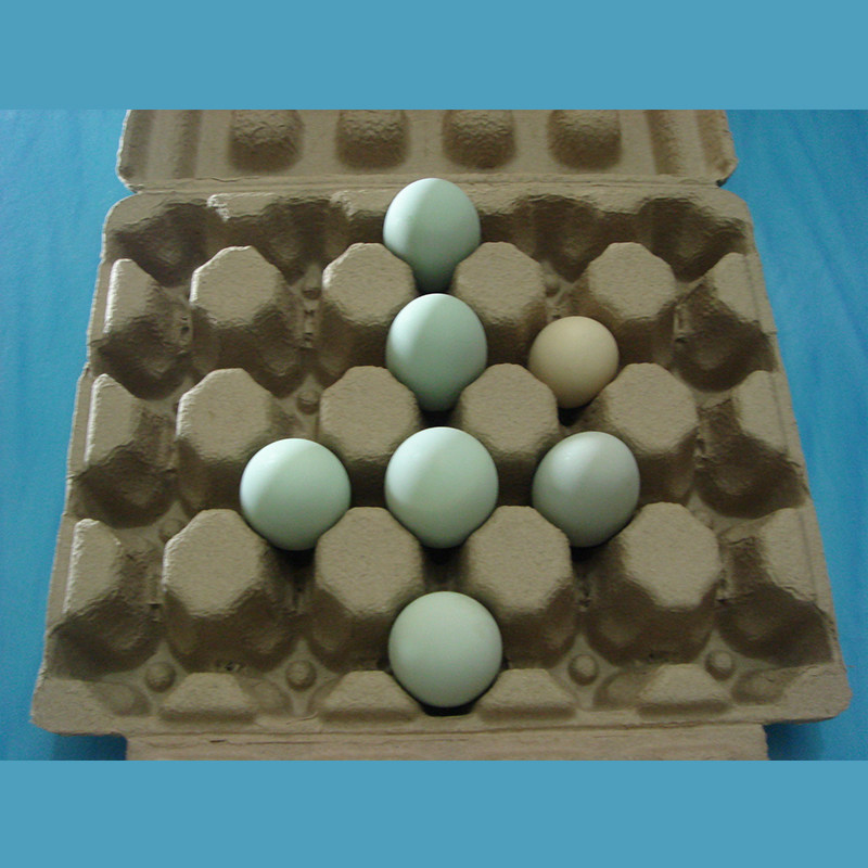 20 eco-friendly eggs, duck egg box, pulp duck egg, soil egg, large egg packaging box, high-grade gift box, transportation