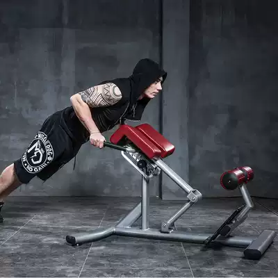 Yulong commercial Roman chair Roman stool fitness chair professional goat up waist abdominal muscle back muscle trainer