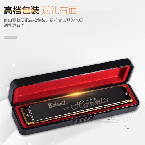 Explorer Piano e -run 24 Horch Student Расходы A/b/c/d/f/g/#