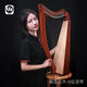 Walter Irish Harp 23-String 19-String 15-String Large Harp Beginner Professional Exam Classical Small Harp