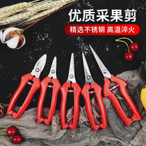 Special scissors for grape pepper fruit picking cutting Orange fruit picking cutting gardening pruning fruit thinning fruit artifact