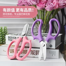 Floral scissors flower pruning scissors gardening home wide-headed flower scissors Flower Path flower cutting flower arrangement flower arrangement tool