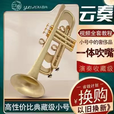 American cloud-down B-tune YZ-988SSL integrated blow pipe aggravating small instrument wire drawing process test class level-Taobao