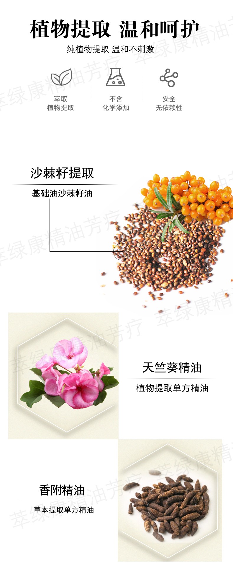 (Chai lớn) Tinh dầu nạo vét hạch bạch mai tĩnh mạch mai tĩnh cổ và tinh dầu tiêu hạch nách tinh dầu gỡ nút thắt, tinh dầu cạo vôi răng. tinh dầu hoa ngũ sắc