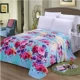 Flannel chăn giường san hô lông cừu mùa đông mỏng sinh viên độc thân ký túc xá hai mặt cộng với nhung ấm đôi