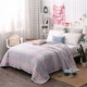 Flannel chăn giường san hô lông cừu mùa đông mỏng sinh viên độc thân ký túc xá hai mặt cộng với nhung ấm đôi