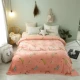 Flannel chăn giường san hô lông cừu mùa đông mỏng sinh viên độc thân ký túc xá hai mặt cộng với nhung ấm đôi