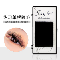 Lash students practice grafting eyelashes Single-root eyelash practice tools Novice practice eyelash practical set