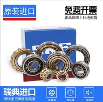Sweden imports SKF short cylindrical roller bearings NU202 203 204 205 206 207 208 209