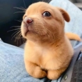 义乌小批发之家