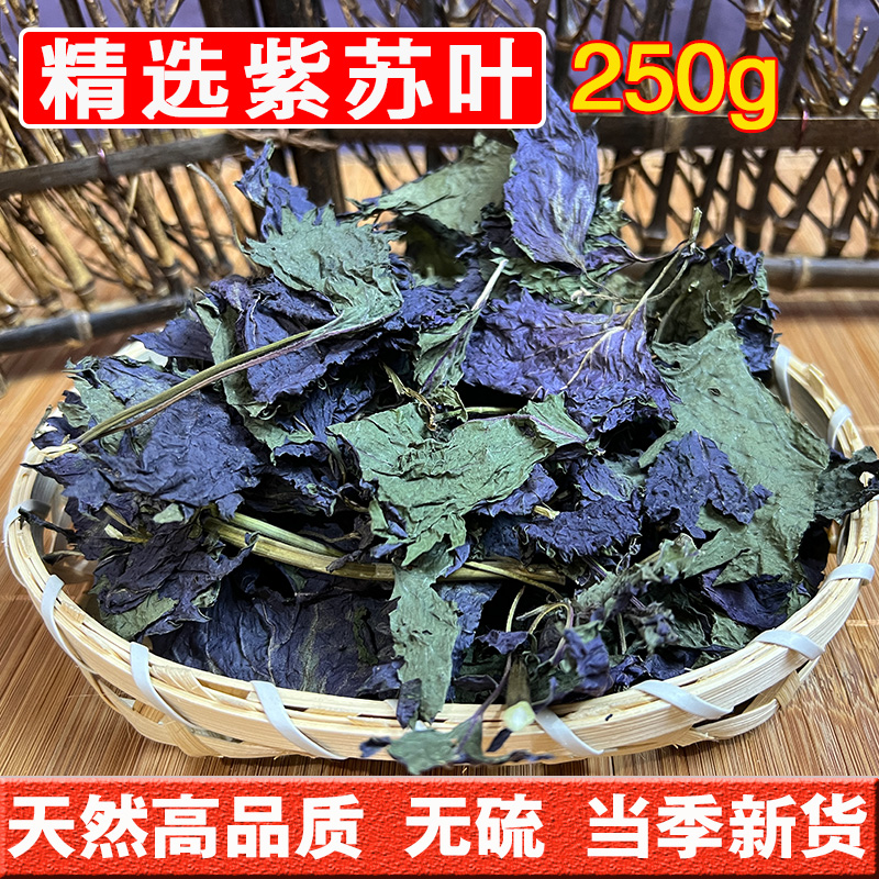 Purple Suleaf Chinese herbal medicine 250g grams of natural sulphur-free spices to eat fresh dried goods subsuye back to sutea water-Taobao