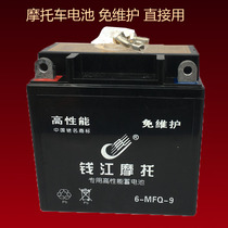 Motorcycle battery 12V5A 7A 9A Diamond leopard Silver Leopard curved beam scooter Zongshen Longxin Jialing Qianjiang battery