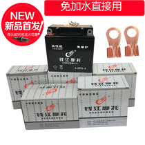 Motorcycle battery 12v7a maintenance-free universal Suzuki King Diamond Leopard Prince Qianjiang 12V9AH motorcycle battery