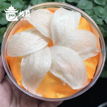 Qi Dian 5A Precious first light birds Nest 10g Malaysia Swiftlet nest Pregnant women nutrition and nourishment