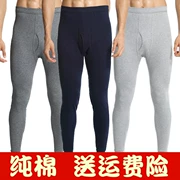 Đặc biệt hàng ngày quần mùa thu nam đơn mảnh cotton Slim cotton kích thước lớn giữa tuổi và tuổi cao quần eo quần ấm quần