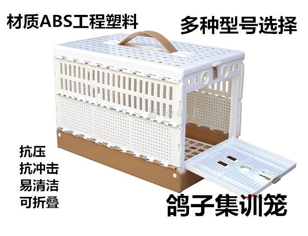 Chim bồ câu / cung cấp vật nuôi / gấp lồng chim bồ câu đào tạo lồng thư chim bồ câu đào tạo lồng chim bồ câu bay lồng lồng chim bồ câu - Chim & Chăm sóc chim Supplies cám cho chim sáo ăn	