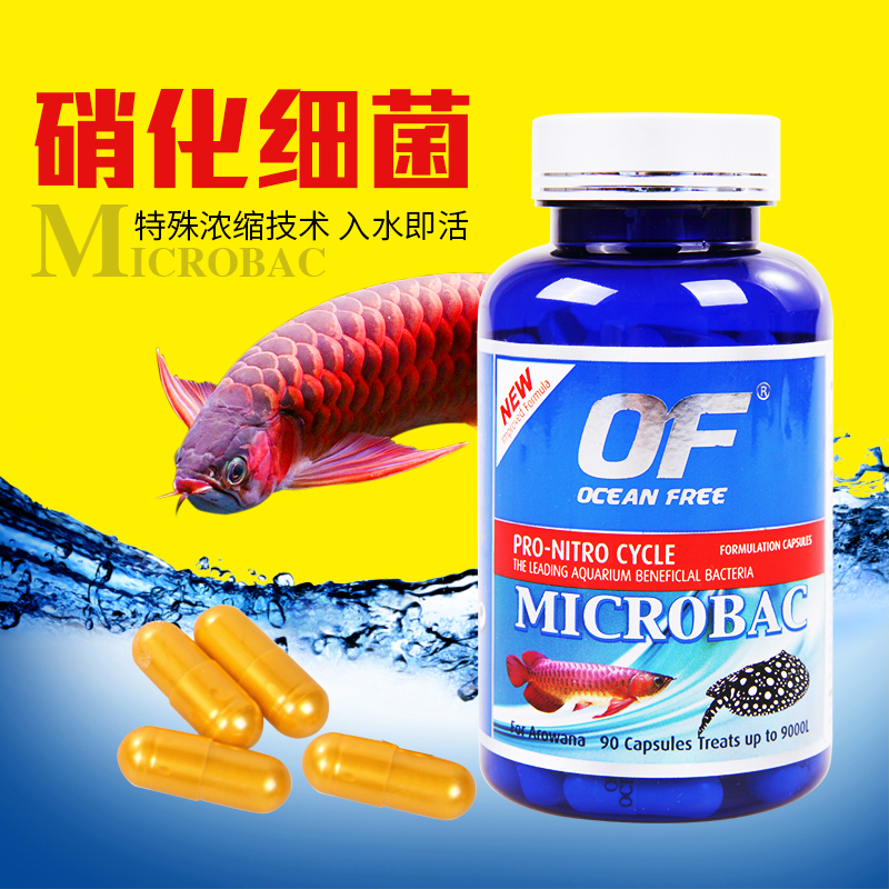 Qianhu Lake OF Matebei Red Dragon Nitrifying probiotic fish tank Nitrifying bacteria Water purification Fish tank water purifier