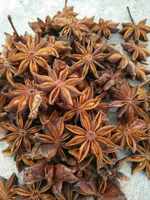 (50G) Большой красный восьмиугольный корица, галоген, фенхель New Goods Guangxi Octopaus