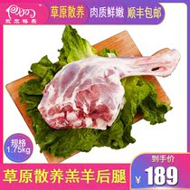 Inner Mongolia lamb leg fresh grassland Sunit lamb hind leg 3 5 kg Inner Mongolia lamb lamb chops barbecue ingredients