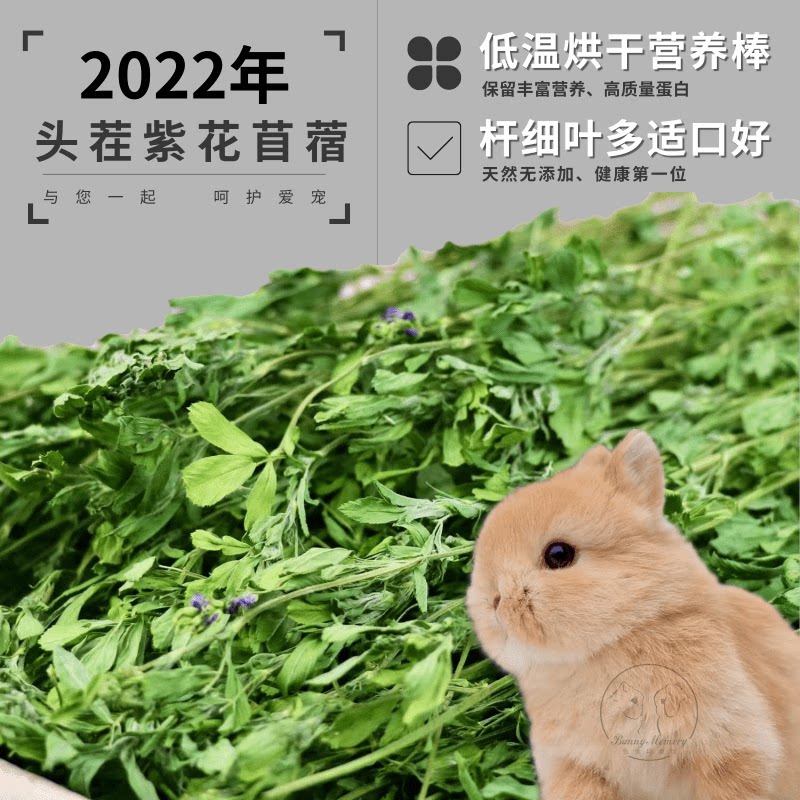 22-year-old new grass boutique drying head stubble alfalfa grass hay young rabbit chinchilla guinea pig guinea pig grain forage